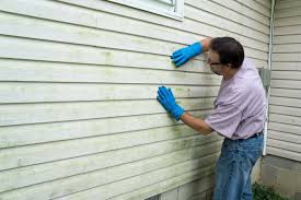 Best Siding Painting and Refinishing  in Kingsland, TX